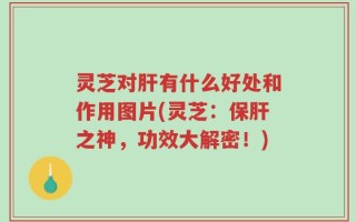 灵芝对肝有什么好处和作用图片(灵芝：保肝之神，功效大解密！)