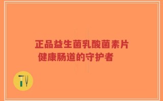 正品益生菌乳酸菌素片 健康肠道的守护者