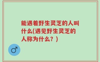 能遇着野生灵芝的人叫什么(遇见野生灵芝的人称为什么？)