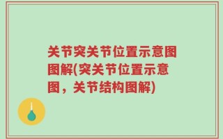 关节突关节位置示意图图解(突关节位置示意图，关节结构图解)