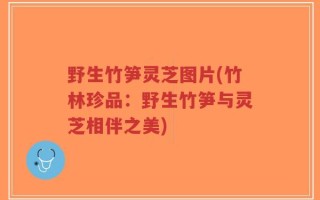 野生竹笋灵芝图片(竹林珍品：野生竹笋与灵芝相伴之美)