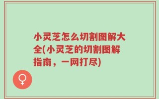 小灵芝怎么切割图解大全(小灵芝的切割图解指南，一网打尽)