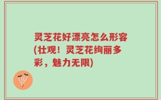 灵芝花好漂亮怎么形容(壮观！灵芝花绚丽多彩，魅力无限)