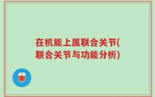 在机能上属联合关节(联合关节与功能分析)