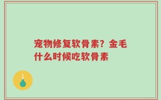 宠物修复软骨素？金毛什么时候吃软骨素