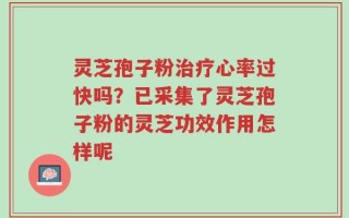 灵芝孢子粉治疗心率过快吗？已采集了灵芝孢子粉的灵芝功效作用怎样呢