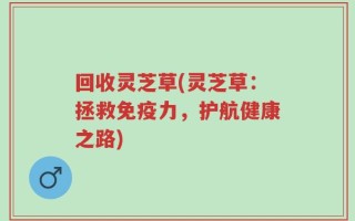 回收灵芝草(灵芝草：拯救免疫力，护航健康之路)