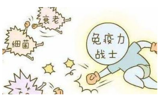 提升免疫力是灵芝孢子粉作用之一，它对人体带来哪些影响？