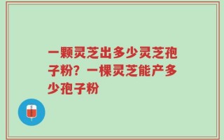 一颗灵芝出多少灵芝孢子粉？一棵灵芝能产多少孢子粉