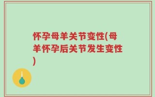怀孕母羊关节变性(母羊怀孕后关节发生变性)