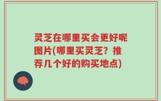 灵芝在哪里买会更好呢图片(哪里买灵芝？推荐几个好的购买地点)