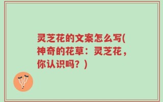 灵芝花的文案怎么写(神奇的花草：灵芝花，你认识吗？)