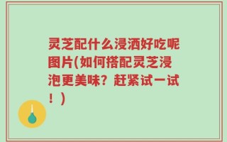 灵芝配什么浸洒好吃呢图片(如何搭配灵芝浸泡更美味？赶紧试一试！)