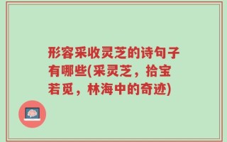 形容采收灵芝的诗句子有哪些(采灵芝，拾宝若觅，林海中的奇迹)