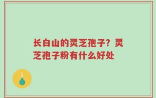 长白山的灵芝孢子？灵芝孢子粉有什么好处