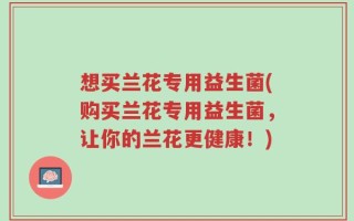 想买兰花专用益生菌(购买兰花专用益生菌，让你的兰花更健康！)