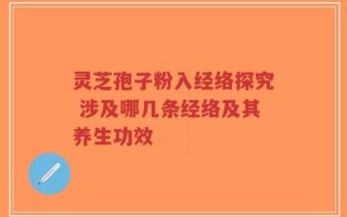 灵芝孢子粉入经络探究 涉及哪几条经络及其养生功效