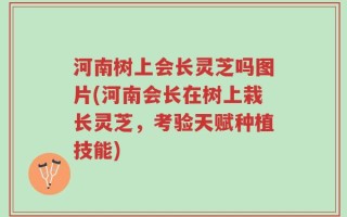 河南树上会长灵芝吗图片(河南会长在树上栽长灵芝，考验天赋种植技能)