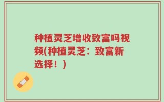 种植灵芝增收致富吗视频(种植灵芝：致富新选择！)