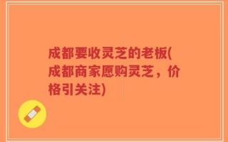 成都要收灵芝的老板(成都商家愿购灵芝，价格引关注)