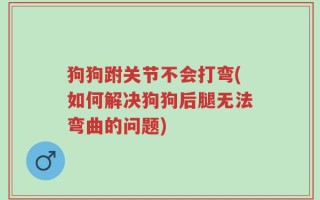 狗狗跗关节不会打弯(如何解决狗狗后腿无法弯曲的问题)