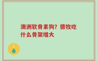 澳洲软骨素狗？德牧吃什么骨架增大