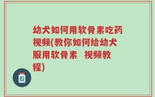 幼犬如何用软骨素吃药视频(教你如何给幼犬服用软骨素  视频教程)