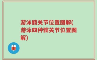 游泳髋关节位置图解(游泳四种髋关节位置图解)