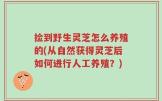 捡到野生灵芝怎么养殖的(从自然获得灵芝后如何进行人工养殖？)