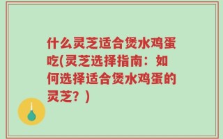 什么灵芝适合煲水鸡蛋吃(灵芝选择指南：如何选择适合煲水鸡蛋的灵芝？)