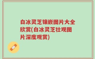 白冰灵芝镶嵌图片大全欣赏(白冰灵芝壮观图片深度观赏)