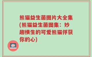熊猫益生菌图片大全集(熊猫益生菌图集：妙趣横生的可爱熊猫俘获你的心)