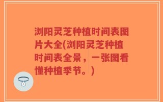 浏阳灵芝种植时间表图片大全(浏阳灵芝种植时间表全景，一张图看懂种植季节。)