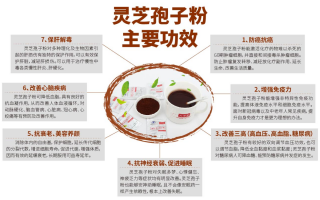 灵芝孢子粉到底好不好用?有哪些作用？