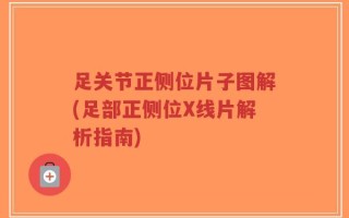 足关节正侧位片子图解(足部正侧位X线片解析指南)