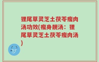 狸尾草灵芝土茯苓瘦肉汤功效(瘦身靓汤：狸尾草灵芝土茯苓瘦肉汤)