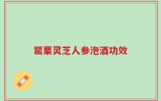 罂粟灵芝人参泡酒功效