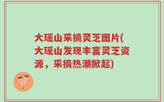 大瑶山采摘灵芝图片(大瑶山发现丰富灵芝资源，采摘热潮掀起)