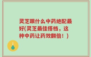 灵芝跟什么中药绝配最好(灵芝最佳搭档，这种中药让药效翻倍！)