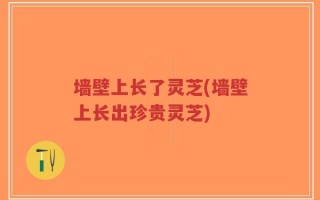 墙壁上长了灵芝(墙壁上长出珍贵灵芝)