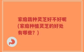 家庭栽种灵芝好不好呢(家庭种植灵芝的好处有哪些？)