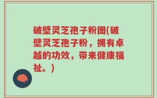 破壁灵芝孢子粉图(破壁灵芝孢子粉，拥有卓越的功效，带来健康福祉。)