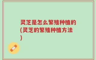 灵芝是怎么繁殖种植的(灵芝的繁殖种植方法)