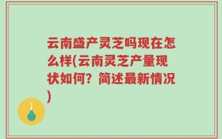 云南盛产灵芝吗现在怎么样(云南灵芝产量现状如何？简述最新情况)