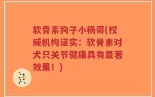 软骨素狗子小杨哥(权威机构证实：软骨素对犬只关节健康具有显著效果！)