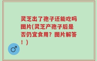 灵芝出了孢子还能吃吗图片(灵芝产孢子后是否仍宜食用？图片解答！)