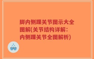 脚内侧踝关节图示大全图解(关节结构详解：内侧踝关节全图解析)
