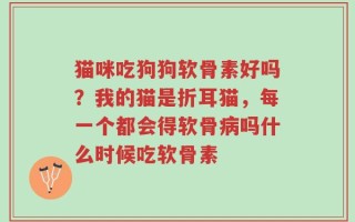 猫咪吃狗狗软骨素好吗？我的猫是折耳猫，每一个都会得软骨病吗什么时候吃软骨素