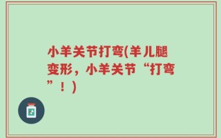 小羊关节打弯(羊儿腿变形，小羊关节“打弯”！)