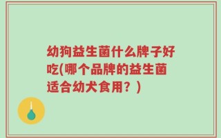 幼狗益生菌什么牌子好吃(哪个品牌的益生菌适合幼犬食用？)